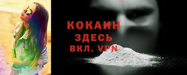 гашик Вязники
