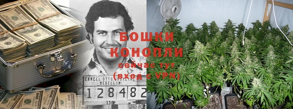 гашик Вязники