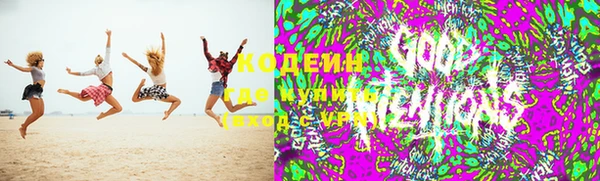 гашик Вязники