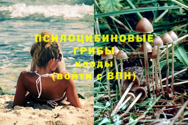 гашиш Вяземский