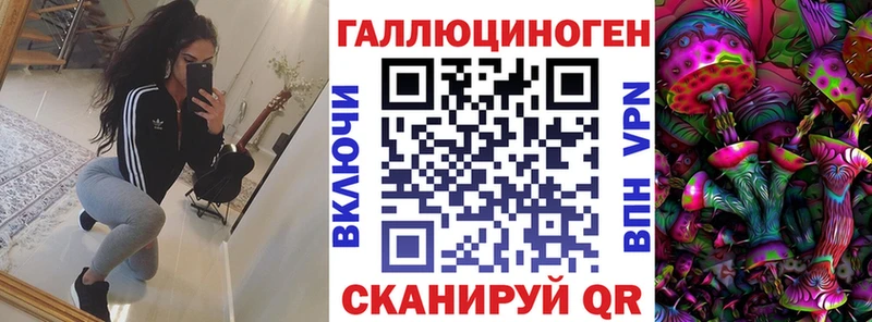 Купить где  Остров  Галлюциногенные грибы Psilocybine cubensis 